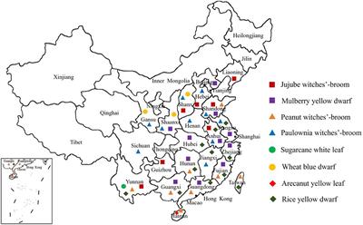 The Diversity, Distribution and Status of Phytoplasma Diseases in China